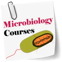 Microbiology course